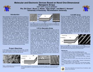 Molecular and Electronic Devices Based on Novel One-Dimensional Nanopore Arrays