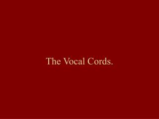 The Vocal Cords.