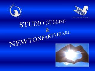 STUDIO GUGGINO &amp; NEWTONPARTNER S.R.L.