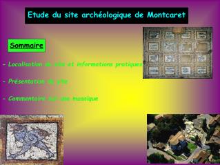 Etude du site archéologique de Montcaret