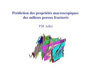 Prédiction des propriétés macroscopiques des milieux poreux fracturés P.M. Adler