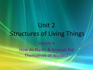 Unit 2 Structures of Living Things