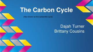 The Carbon Cycle