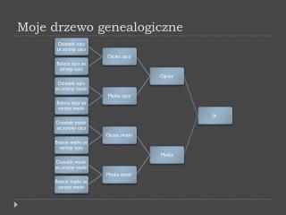 Moje drzewo genealogiczne