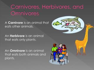 Carnivores, Herbivores, and Omnivores