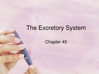 The Excretory System