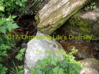 C17- Organizing Life’s Diversity