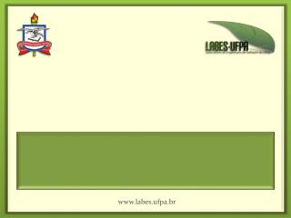 Template-LABES_2011