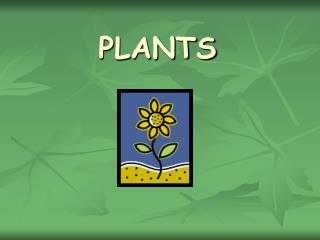 PLANTS