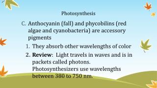 Photosynthesis