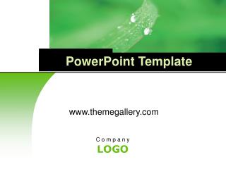 PowerPoint Template