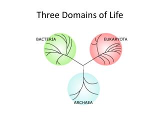 Three Domains of Life