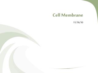 Cell Membrane