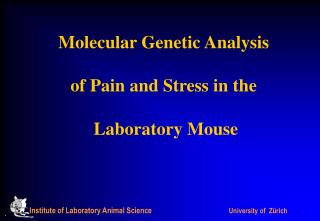 Molecular Genetic Analysis of Pain and Stress in the Laboratory Mouse
