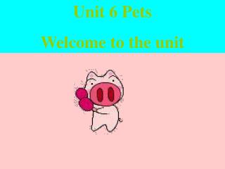 Unit 6 Pets Welcome to the unit
