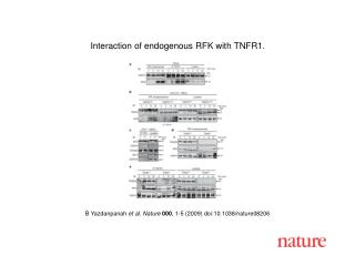 B Yazdanpanah et al. Nature 000 , 1 - 5 (2009) doi:10.1038/nature08 206