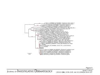 Sarah T Arron (2014) 134 , 2138-2145. doi:10.1038/jid.2014.127