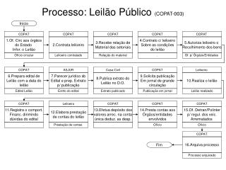 Processo: Leilão Público (COPAT-003)