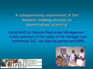 A companioning experiment of the decision-making process to d ecentralized planning
