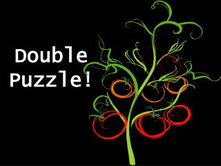 Double Puzzle!
