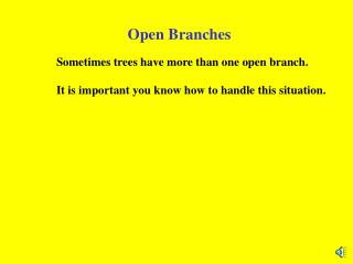 Open Branches