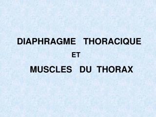 DIAPHRAGME THORACIQUE ET	 MUSCLES DU THORAX