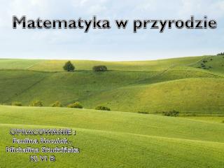 Matematyka w przyrodzie.