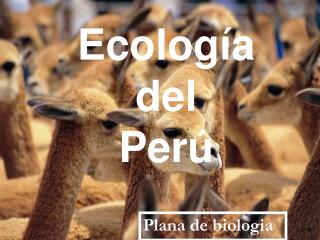 Ecología del Perú
