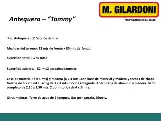 Antequera – “Tommy”