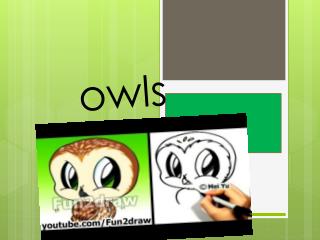 Owls