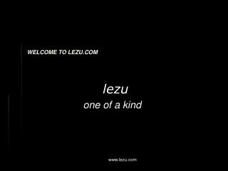 Lezu.com_PPT