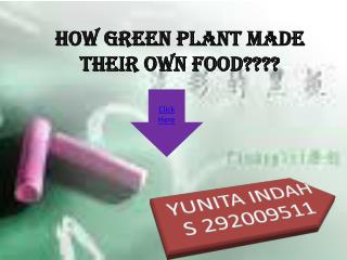 How green plant made their own food????