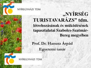 Prof. Dr. Hanusz Árpád Egyetemi tanár
