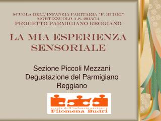 Sezione Piccoli Mezzani Degustazione del Parmigiano Reggiano