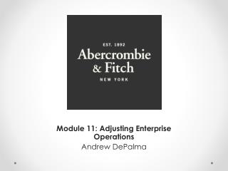 Module 11: Adjusting Enterprise Operations Andrew DePalma
