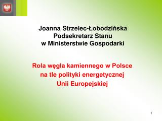 Joanna Strzelec-Łobodzińska Podsekretarz Stanu w Ministerstwie Gospodarki