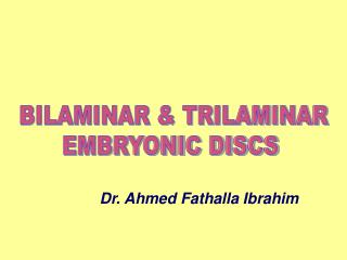 BILAMINAR &amp; TRILAMINAR EMBRYONIC DISCS