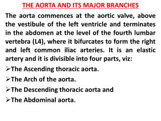 THE AORTA AND ITS MAJOR BRANCHES