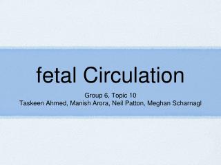 fetal Circulation