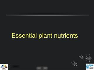 Essential plant nutrients