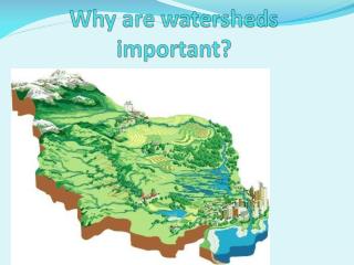 Why are watersheds important?