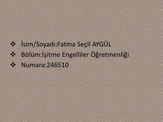 İsim/Soyadı:Fatma Seçil AYGÜL Bölüm:İşitme Engelliler Öğretmenliği Numara:246510