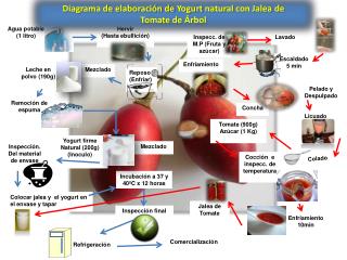 Diagrama de elaboración de Yogurt natural con Jalea de Tomate de Árbol