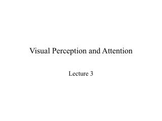Visual Perception and Attention
