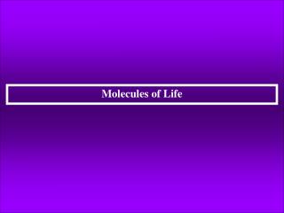 Molecules of Life