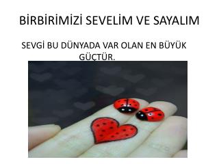 BİRBİRİMİZİ SEVELİM VE SAYALIM