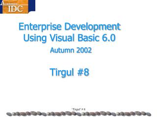 Enterprise Development Using Visual Basic 6.0 Autumn 2002 Tirgul #8