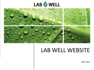 LAB WELL WEBSITE NOV 2011