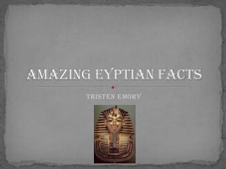 AMAZING EYPTIAN FACTS