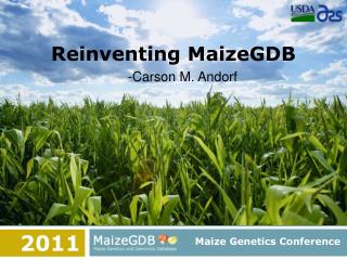 Reinventing MaizeGDB